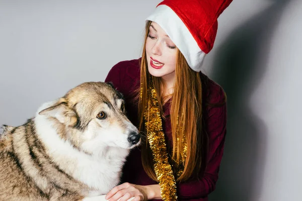 Рыжая красивая девушка в красной кепке празднует Новый 2018 год со своей большой собакой — стоковое фото