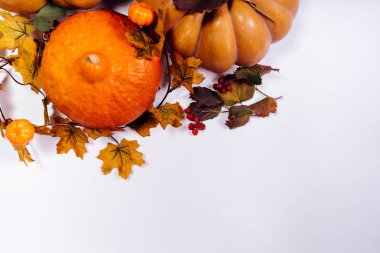 Beyaz bir yüzeye Halloween, turuncu kabak, sonbahar yaprakları bir kompozisyon olduğunu
