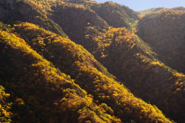 Yukarıdan görünüm dağlar ve tepeler yeşil ve sarı ağaçlarıyla kaplı