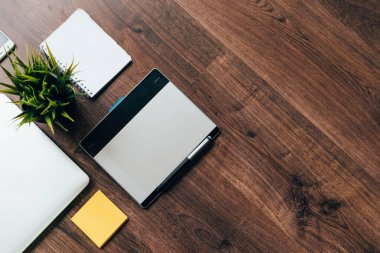 bir ahşap yüzeye bir dizüstü bilgisayar, kağıt ve bir tencerede yeşil bir bitki olduğunu