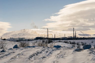 çok soğuk kuzeyde her şey beyaz kar, birçok tesisi ile kaplıdır