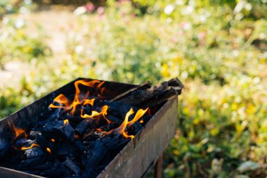 doğa, piknik, kömür ve dalları içinde mangal yalan, bir ateş yakar