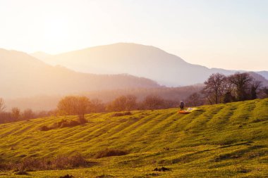yüksek dağlar zemin karşı yeşil glade
