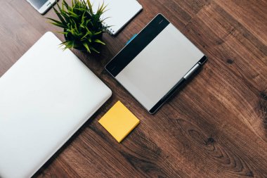 bir ahşap yüzeye yalan bir dizüstü bilgisayar, bir grafik tablet, bir tencerede yeşil bir bitki