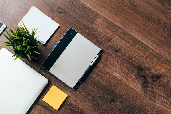 bir dizüstü bilgisayar ve bir grafik tablet iş, bir pot ve beyaz dizüstü yeşil bir bitki için ahşap bir yere yatın