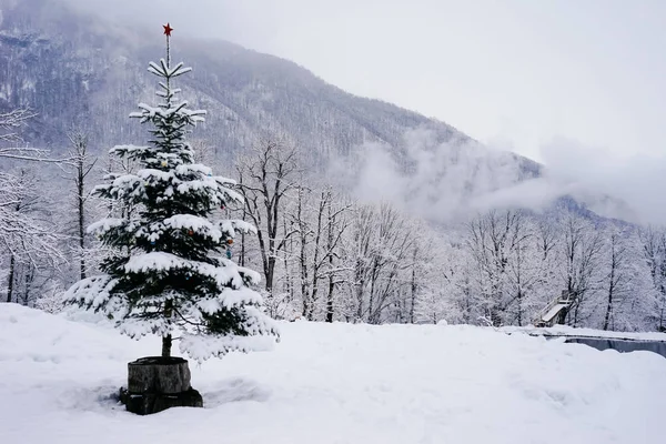 cold winter snow-covered nature, high snow-capped mountains and fields, a Christmas tree in the snow