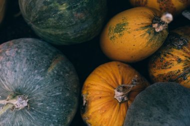 yararlı çok renkli çiftçi kabaklar makro fotoğrafçılık