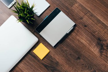ahşap yüzeyde bir laptop için iş, bir grafik tablet ve bir tencerede yeşil bir bitki olduğunu