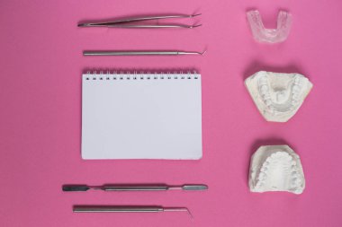dental instruments on the pink surface, white plaster cast of teeth clipart