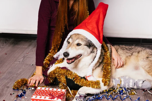 Рыжая девушка сидит на полу со своей собакой, праздничной мишурой и рождественской атмосферой — стоковое фото