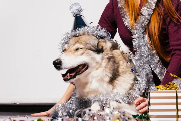 Fille aux cheveux roux assis avec son gros chien, atmosphère du Nouvel An — Photo