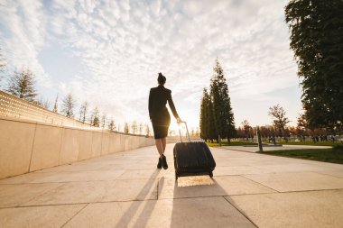 üniformalı bir ince hostes kadın güneş ışınlarının bir valize ile uçuş devam ediyor