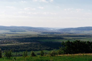 Yaz doğa sonsuz yeşil çayırlar ve birçok ağaç ilham verici