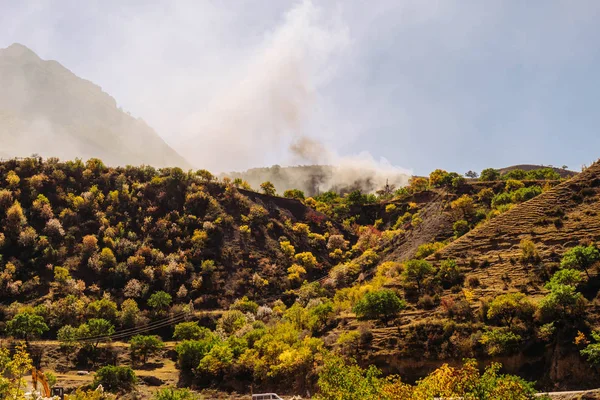 ilham verici yaz doğa, bol yeşillik ve ağaçlar