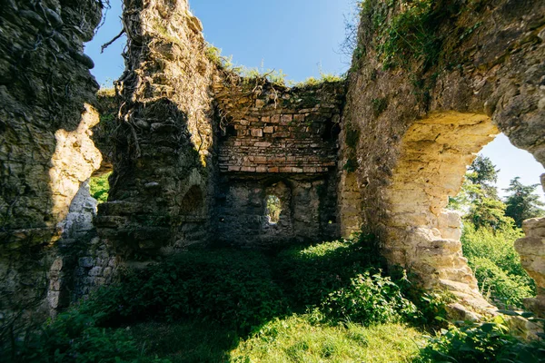 Eine alte Ruine, umgeben von viel Grün — Stockfoto