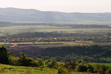 Yaz doğa, sınırsız yeşil alanları ve çayırlar, ağaç ve yeşillik çok ilham verici