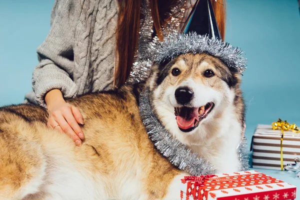 一个年轻的女孩与她的狗正在准备庆祝新年 — 图库照片