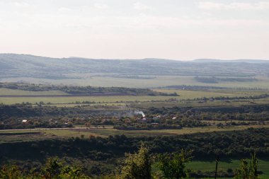 sıcak yaz doğa, sınırsız yeşil alanlar ve çayırlar, birçok ağaç ilham verici