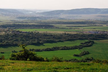 Yaz doğa, sınırsız yeşil alanlar ve tepeler, birçok ağaç ilham verici