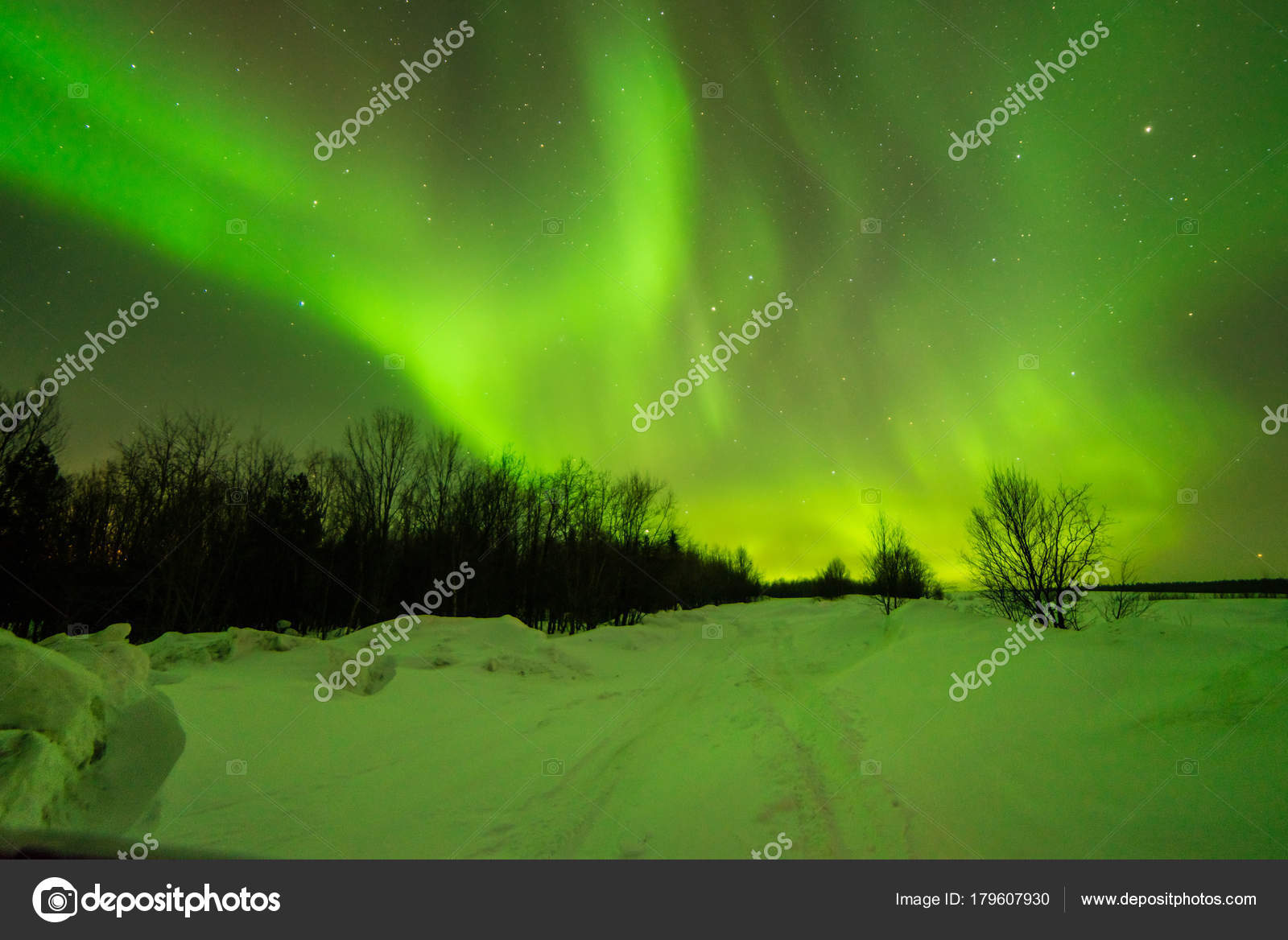 Northern Lights Aurora Borealis Green Purple Blue Stars North Pole Iceland Russia Stock Photo Image By C Mne Len