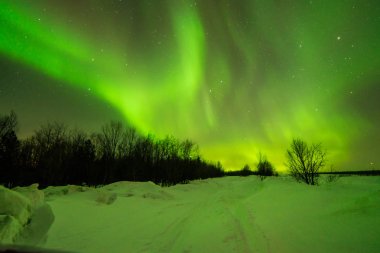 Kuzey ışıkları, Aurora borealis, yeşil, mor, mavi, yıldız. Kuzey Kutbu, İzlanda, Rusya Federasyonu