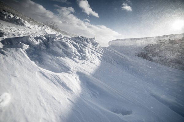 in the far cold north everything is covered with white snow, winter nature