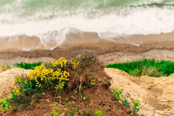 Top view of the turquoise sea and white foam — Stock Photo, Image