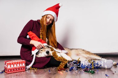Noel şapkalı mutlu kız oturuyor bir köpek ve bir yeni yıl hediyesi yanında