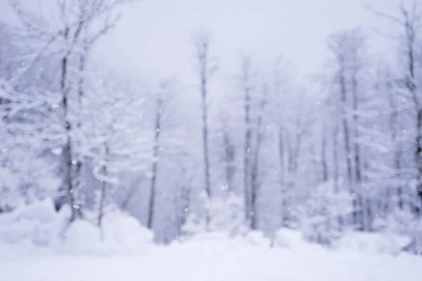 Abstracte wazig winter achtergrond met dalende sneeuw in bos, kerstkaart — Stockfoto