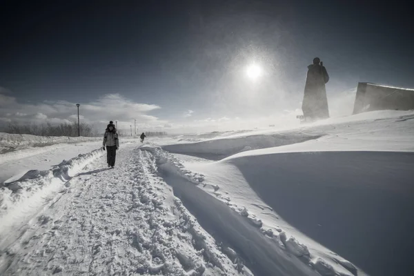 A girl in warm clothes travels across the cold north, a lot of white snow — Stock Photo, Image