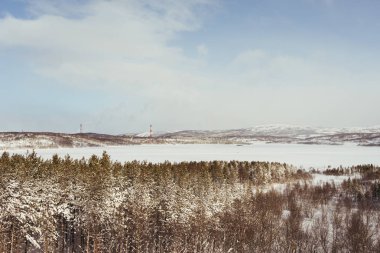 çok soğuk kuzeyde beyaz kar, kış hava alanı ve Tayga kaplıdır