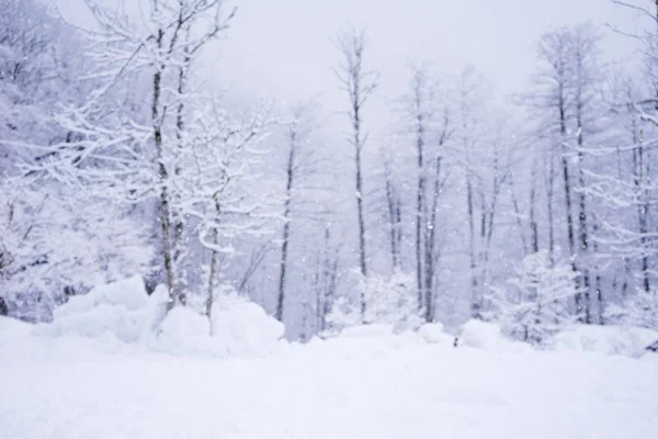 模糊的冬天背景与下落的雪在森林里, 圣诞卡 — 图库照片
