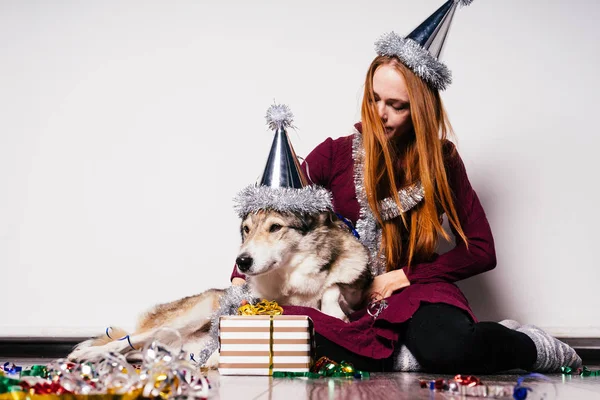 Bir yılbaşı şapkalı bir kadın bir köpek yanındaki gri bir arka plan üzerine oturur. — Stok fotoğraf