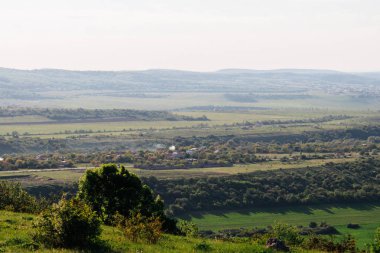dağlar zemin üzerine yeşil orman
