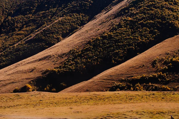 Gunung-gunung tinggi di latar belakang lapangan — Stok Foto