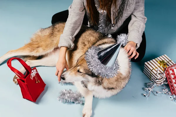 Un chien dans un chapeau de Noël repose sur les mains d'une femme sur le fond de cadeaux — Photo