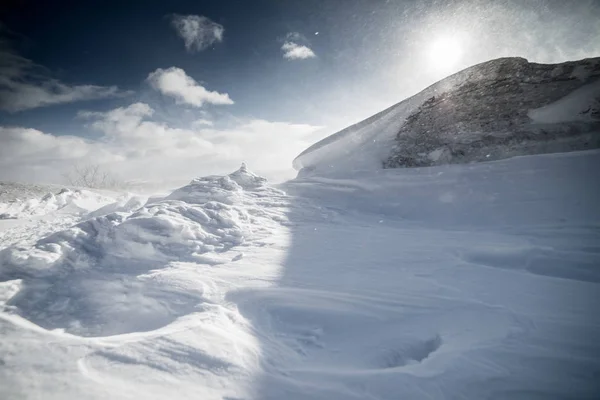 Inverno coberto de neve campo no fundo de um dia ensolarado — Fotografia de Stock