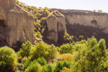 Güneş ve yeşilliklerle çevrili bir eski yıkık bina