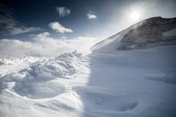 겨울 태양 광선에 흰색 눈으로 덮여 모든 것까지 추운 북쪽에서 — 스톡 사진