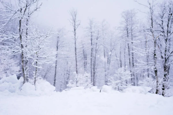 模糊的冬天背景与下落的雪在森林里, 圣诞卡 — 图库照片