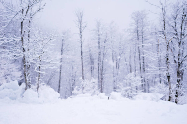 Abstract blurred winter background with falling snow in forest, christmas card