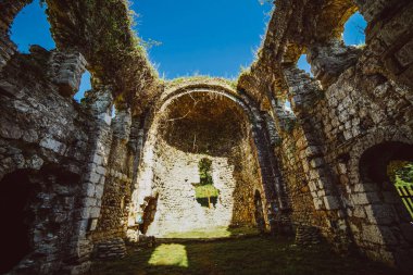 Yeşilliklerle çevrili bir eski yıkık bina