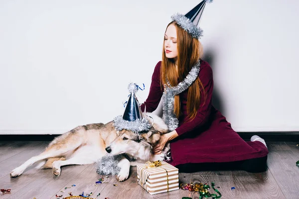 犬とお祝い帽子の女性 — ストック写真