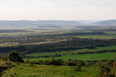 dağlar güneşli bir zemine karşı yeşil orman