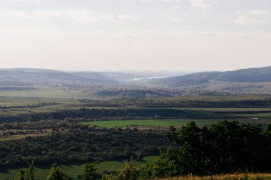 yüksek dağlar güneşli bir zemine karşı yeşil orman