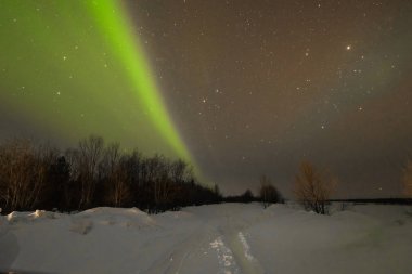 Kuzey ışıkları, Aurora borealis, yeşil, mor, mavi, yıldız. Kuzey Kutbu, İzlanda, Rusya Federasyonu