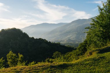 güzel dağlar zemin karşı yeşil orman