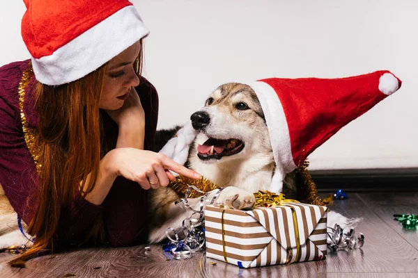 Woman in a New Year's cap shows a gift to a dog — Stock Photo, Image