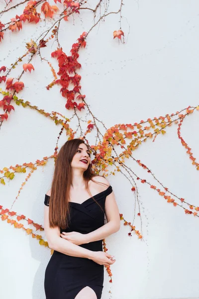 Hermosa chica atractiva en vestido negro sonriendo y posando sobre fondo blanco de la pared con plantas — Foto de Stock