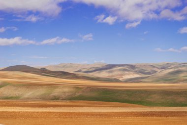 Yaz doğa, mavi gökyüzü ve sınırsız sarı alanlar